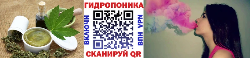 Canna-Cookies конопля  Амурск 