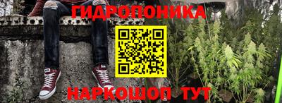 эйфоретик Гай