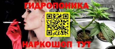 трава Абакан