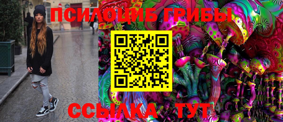 Псилоцибиновые грибы Cubensis Амурск