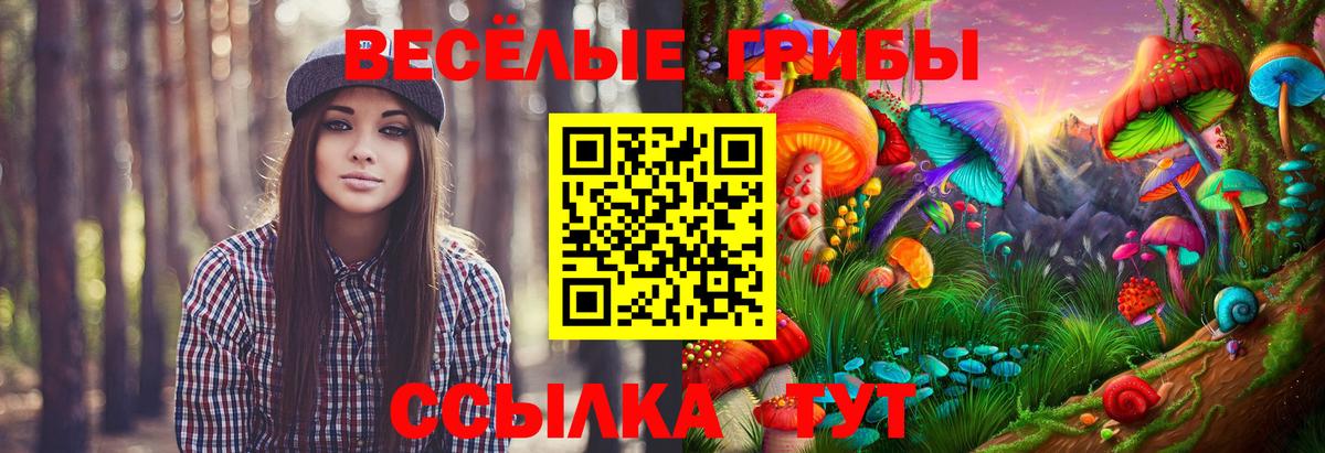 Псилоцибиновые грибы Magic Shrooms Амурск